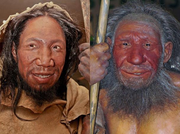 Comparaison des visages de l'Homo sapiens et du Néandertalien. (The Nature Box / CC BY-SA 4.0)