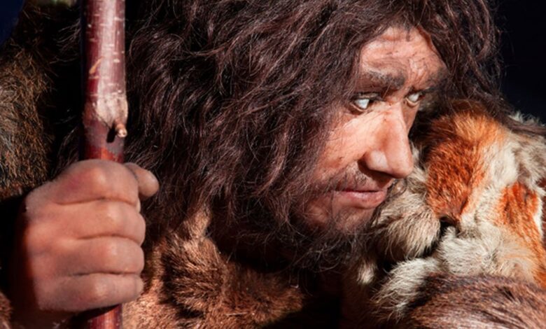 Neanderthal. Source: procy_ab / Adobe Stock