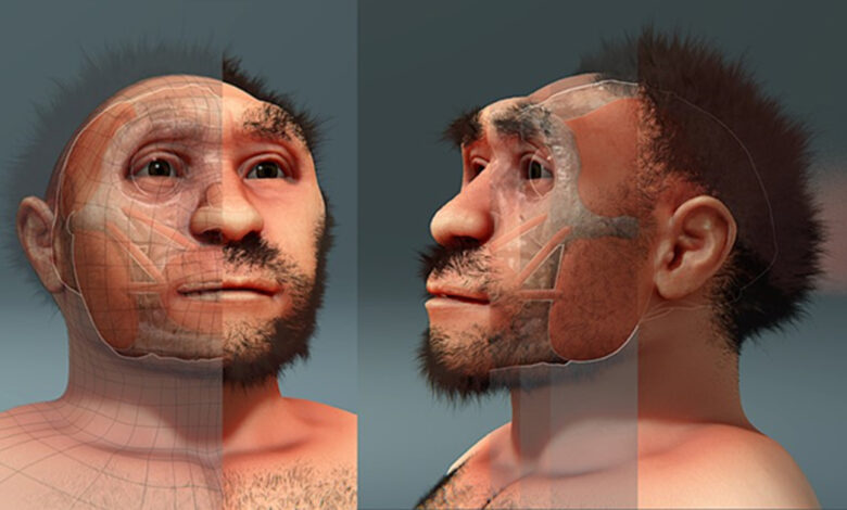 Homo erectus pekinensis, forensic facial reconstruction.