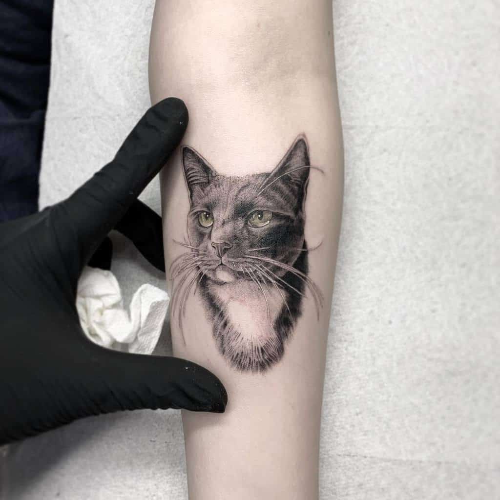 Tatouage de l'avant-bras du petit chat tee.tattoo