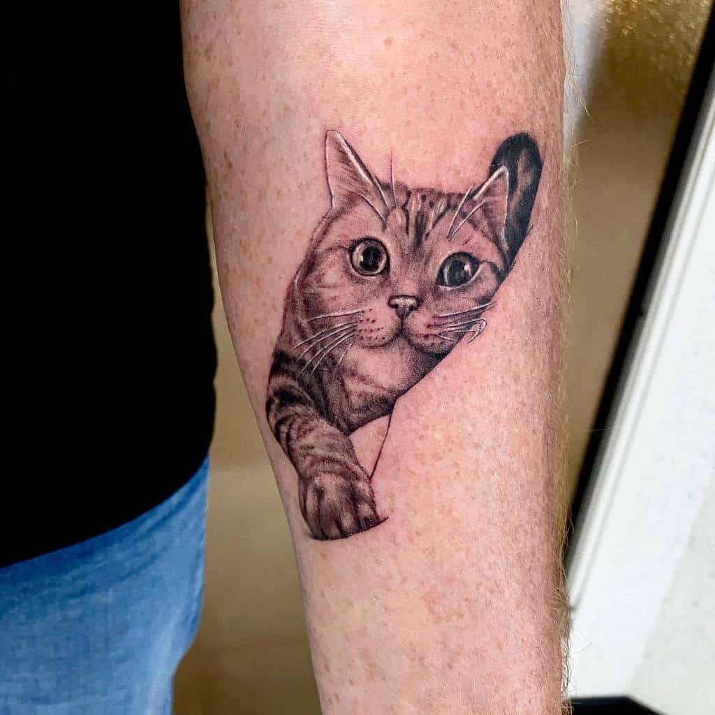 Tatouages d'avant-bras de petits chats prestigetattoo94