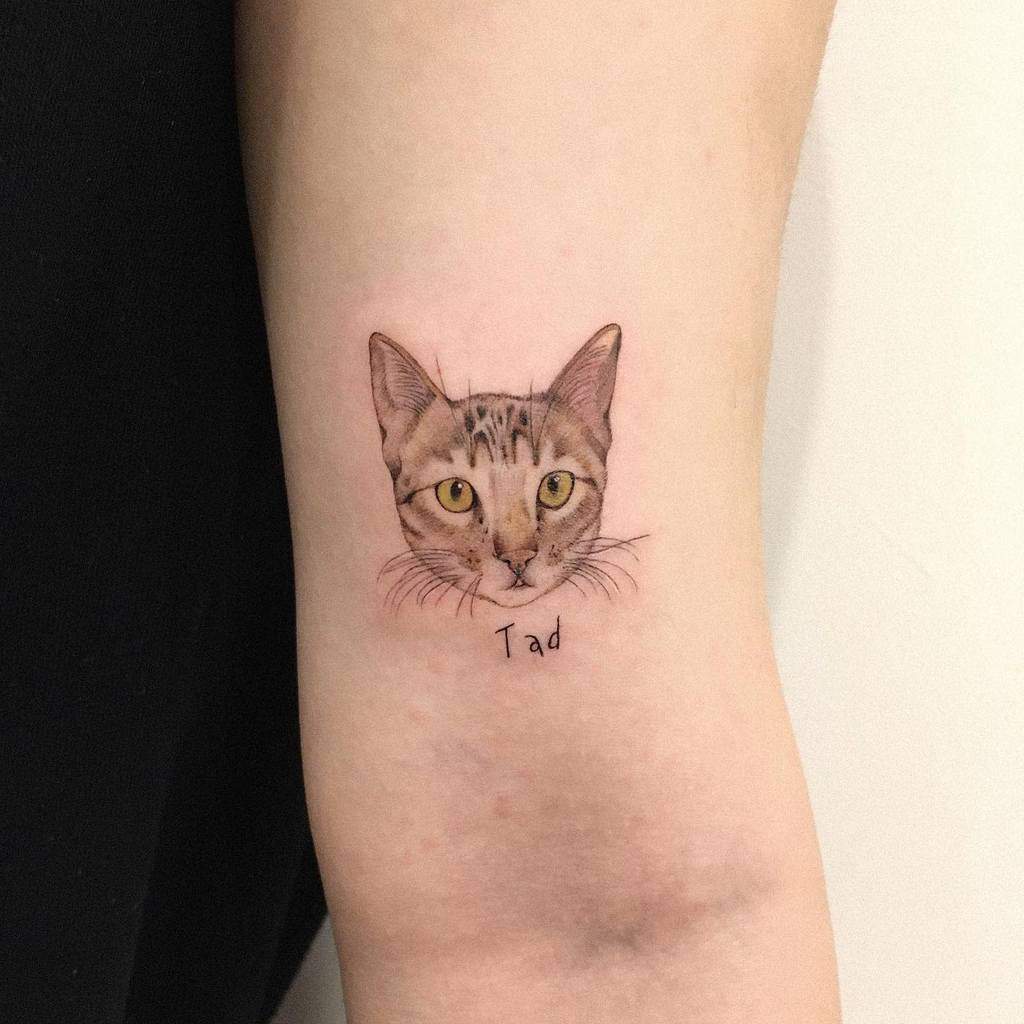 Tatouages réalistes de petits chats jins_tattoo
