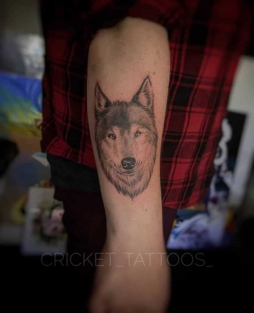 Tatouage réaliste du petit loup cricket_tattoos