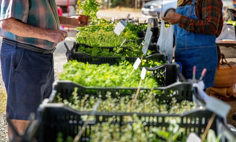 Comment naviguer sur les marchés agricoles locaux