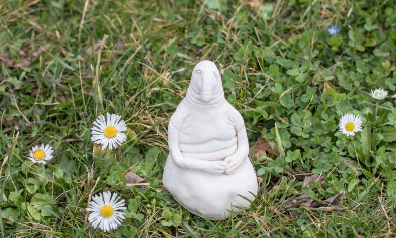 Clay homunculus model placed on a lawn