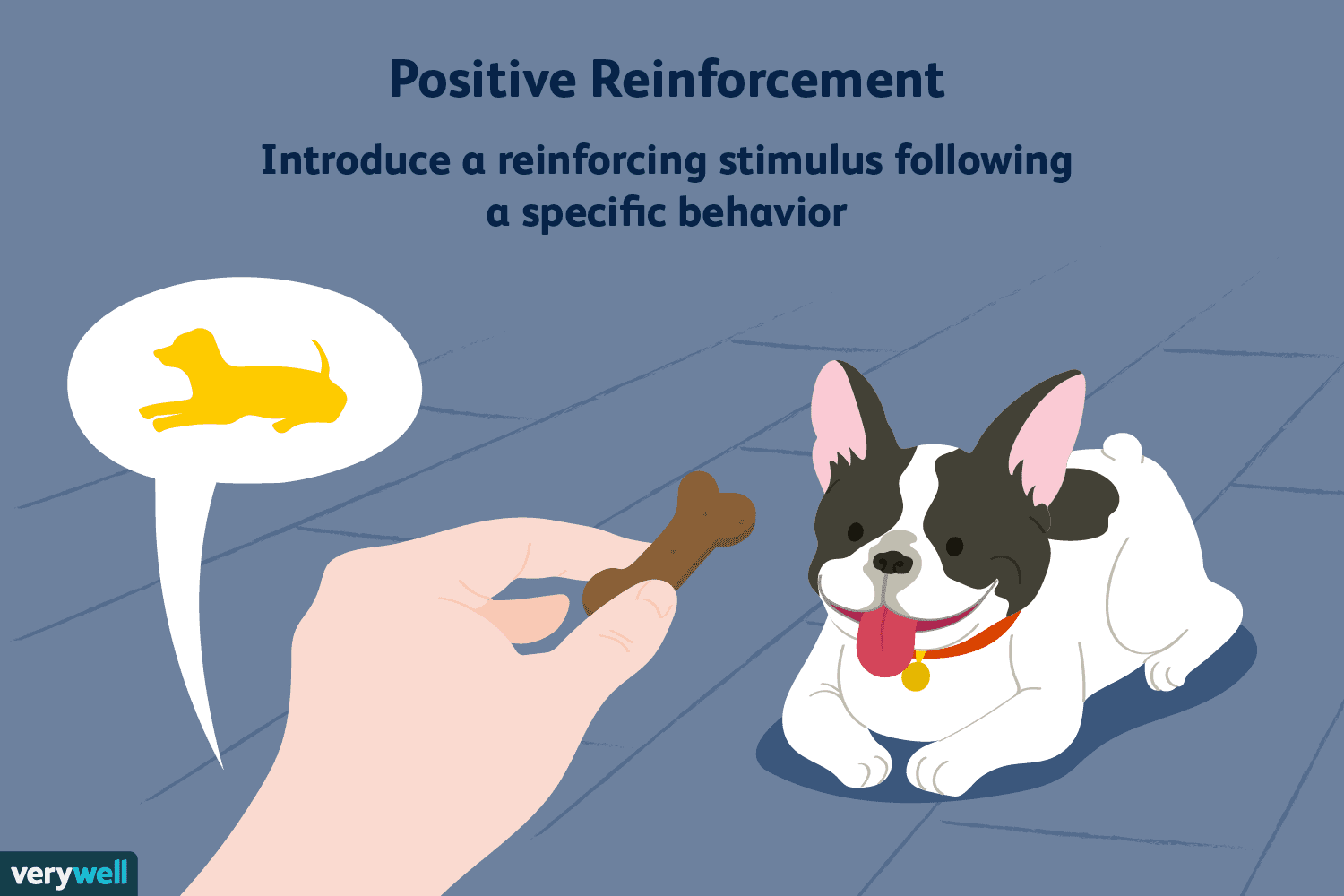 positive reinforcement psychology definition